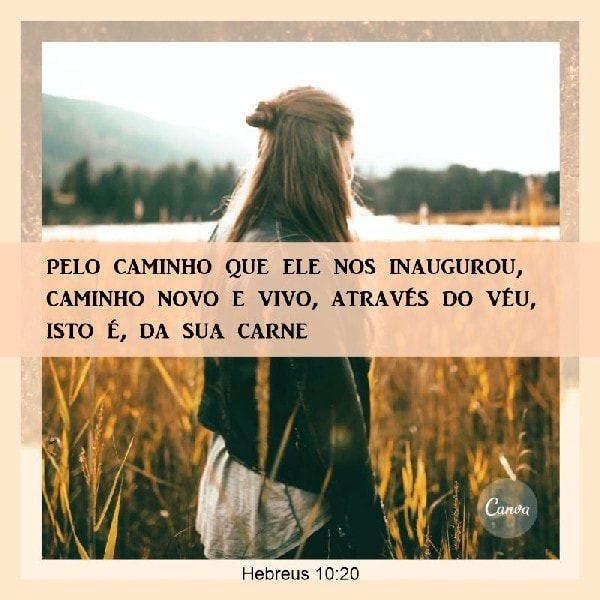 Hebreus 9:22