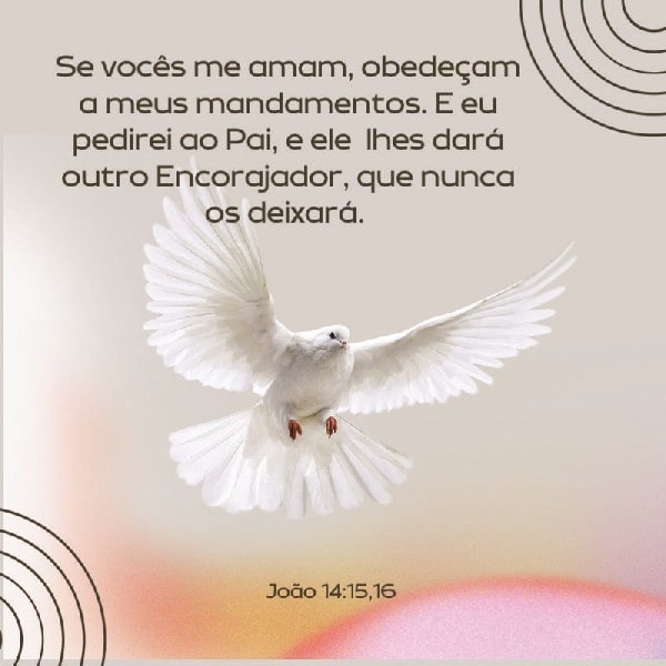 João 14:15