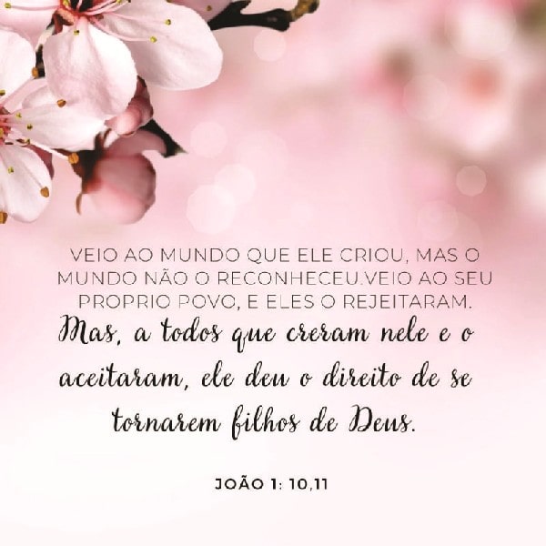 João 1:10-11