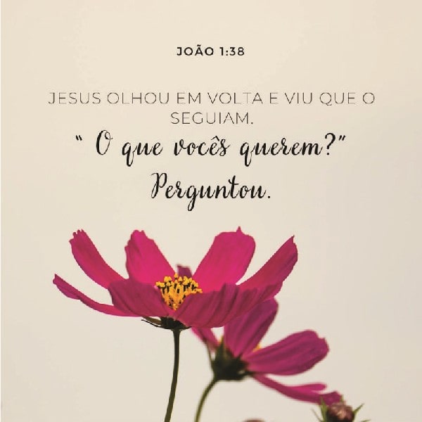 João 1:38