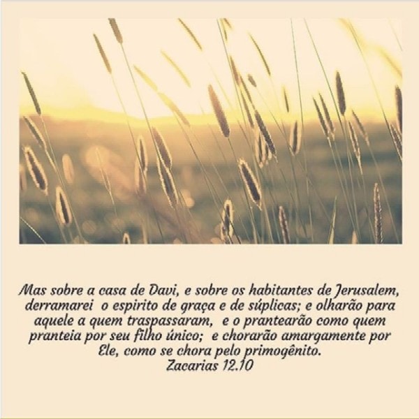 Zacarias 12:10