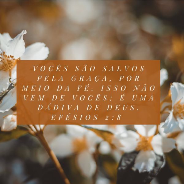 Efésios 2:8