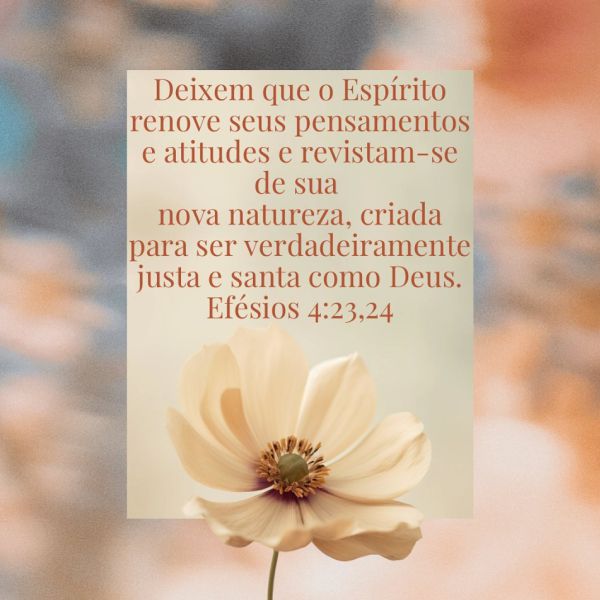 Efésios 4:23-24