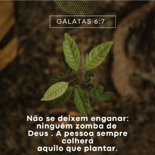 Gálatas 6:7